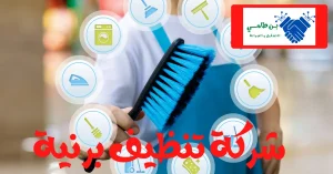 شركة تنظيف منازل برنية