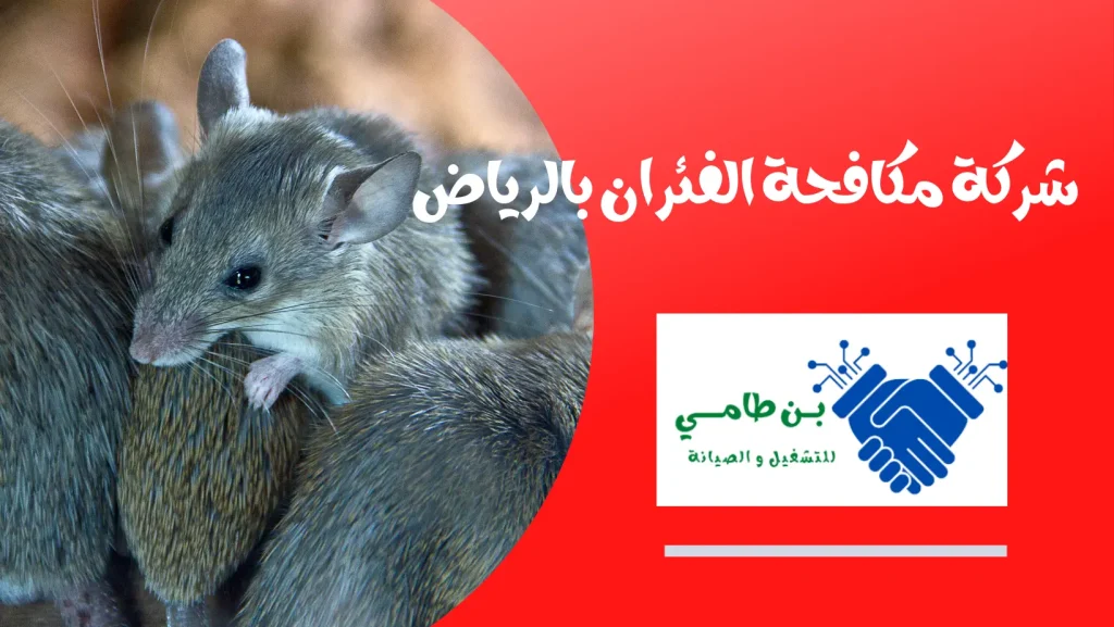 شركة مكافحة الفئران بالرياض